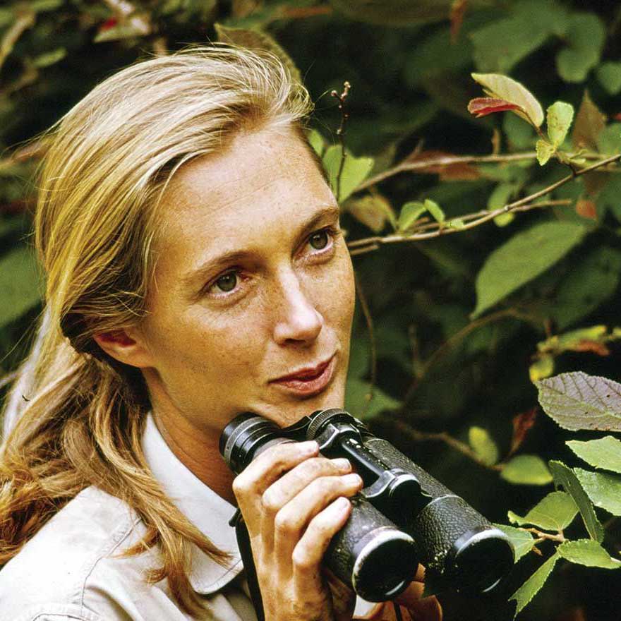 A woman holding binoculars in a natural outdoor setting.