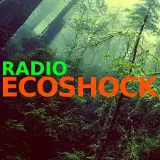 Radio EcoShock logo over a forest background.