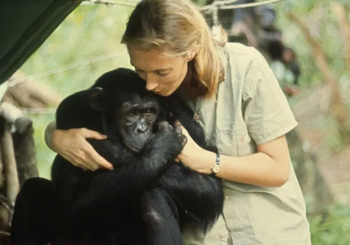 Woman hugging a chimpanzee under tent.